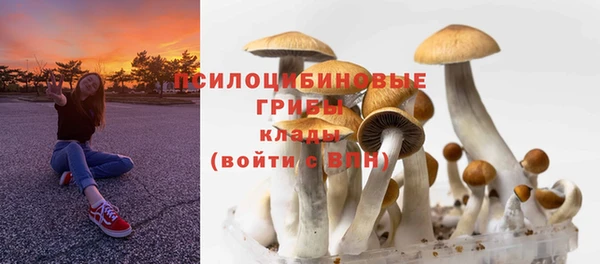 MESCALINE Гусиноозёрск