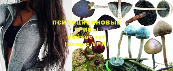 MESCALINE Гусиноозёрск