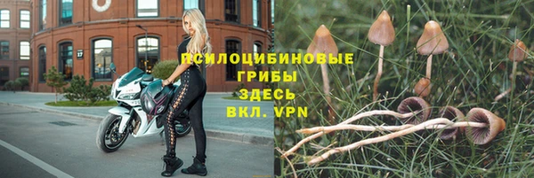 соль курить ск Гусь-Хрустальный